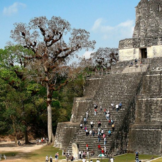 Tikal Tours