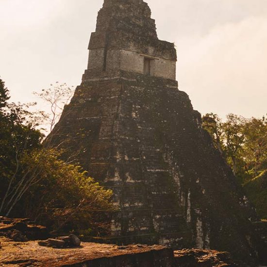 Tikal Tours Guatemala