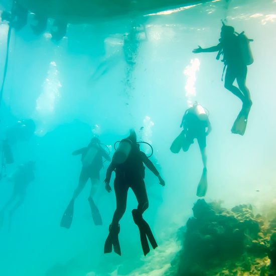 Diving Belize