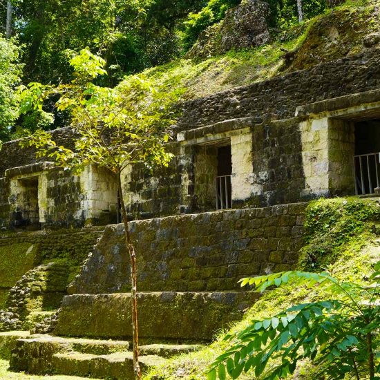Yaxha Guatemala recorre las ruinas