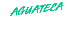 aguateca-from-flores